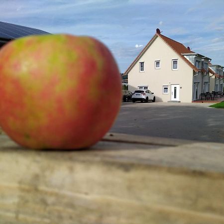 Ferienhof Dachsberg Wohnung Sundowner Bermatingen Exteriör bild